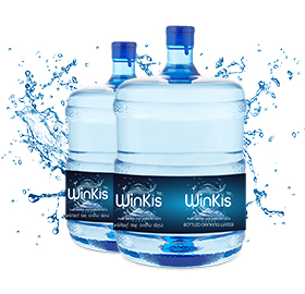winkis-product